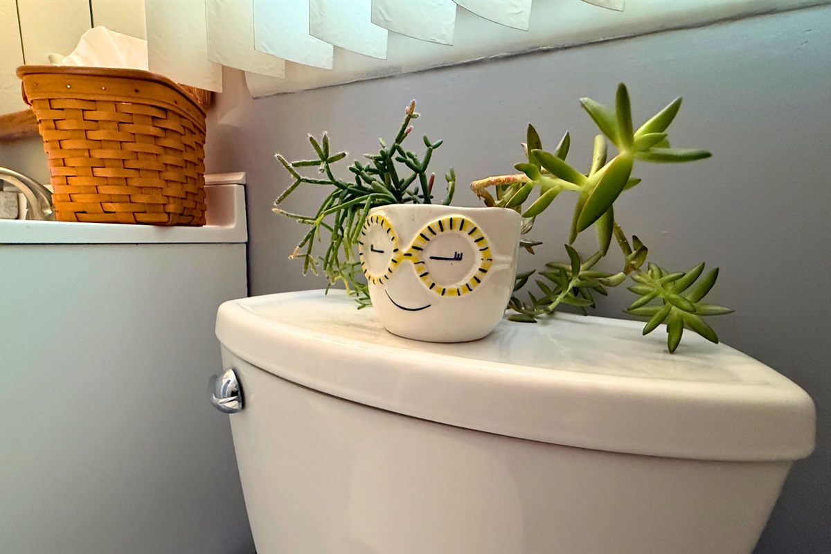 Healthy house plants smile at you from every room!