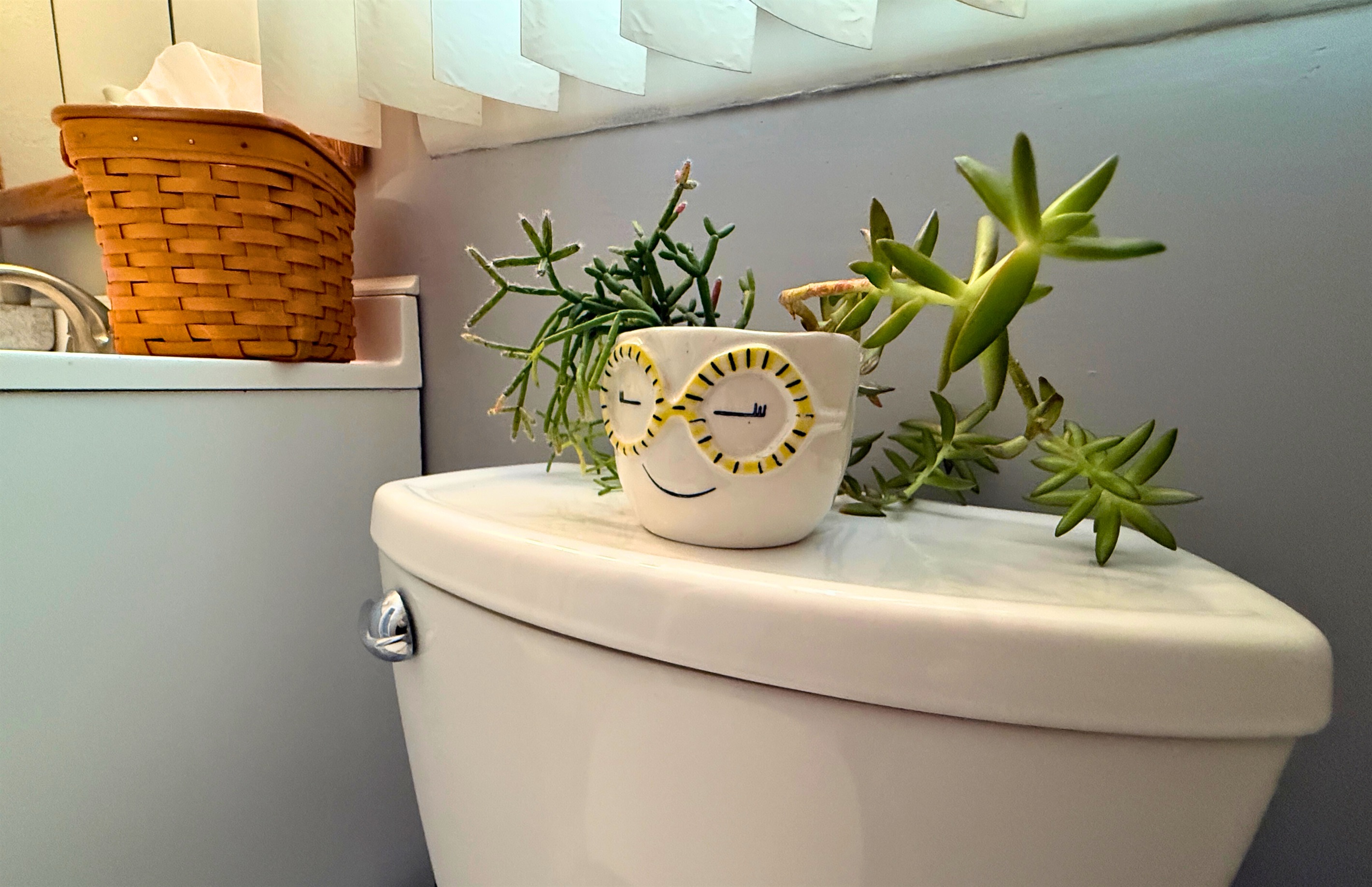 Healthy house plants smile at you from every room!