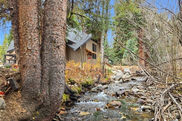 Step outside to your private woodland escape, where a gentle stream, towering trees, and fresh mountain air invite you to slow down and make it all yours.