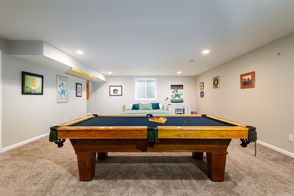 Basement Living Room