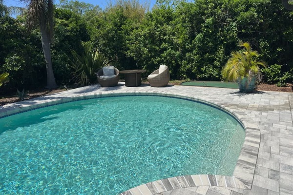 Pool View And Backyard