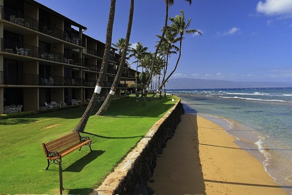 Nice lawn area with lounge chairs along oceanfront sea wall