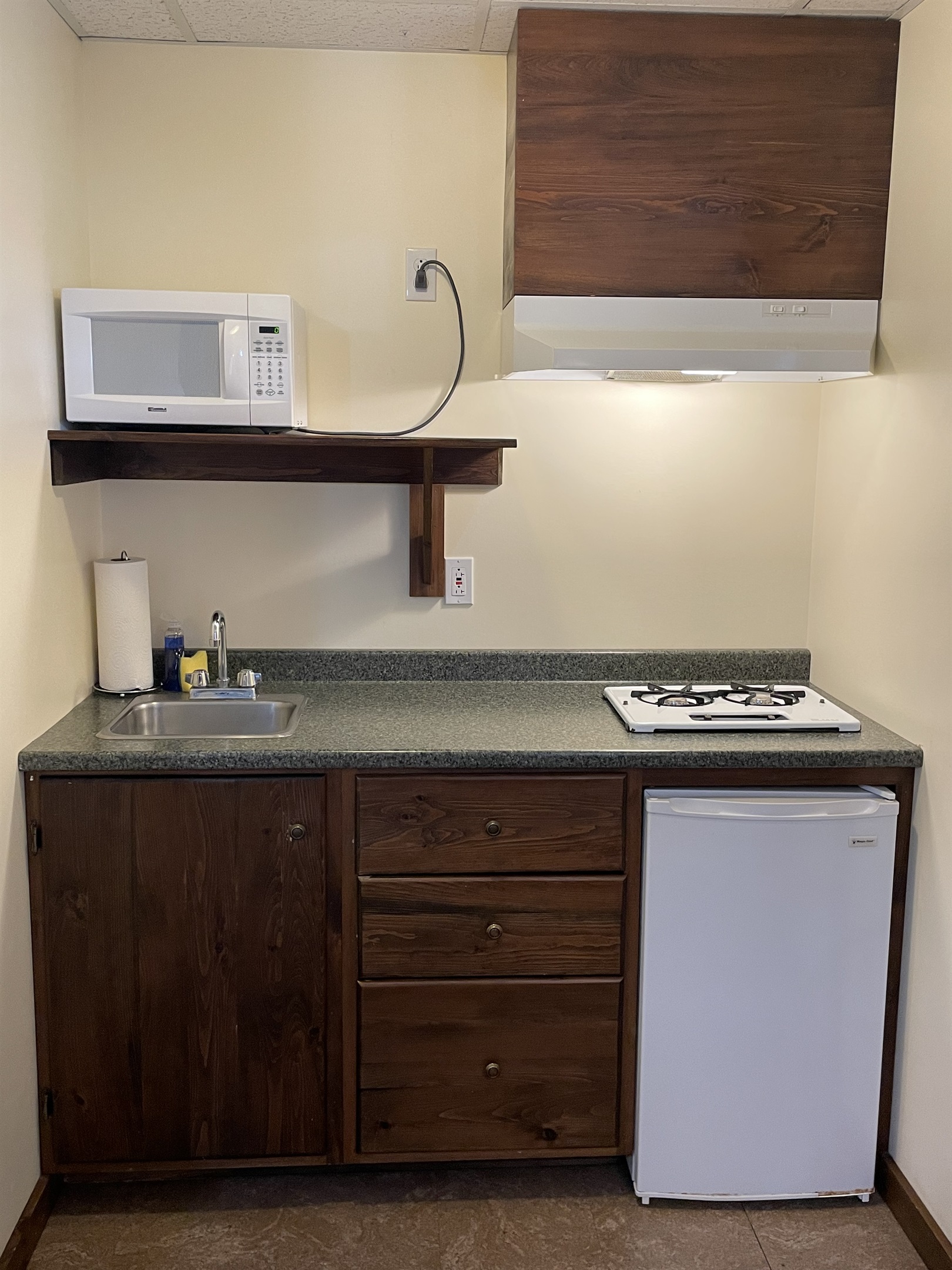 Sunnyside Apt 2, Kitchenette with mini fridge, microwave, 2 burner cooktop.