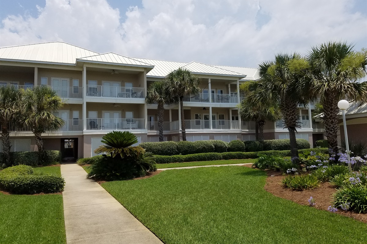 Pavillion Palms