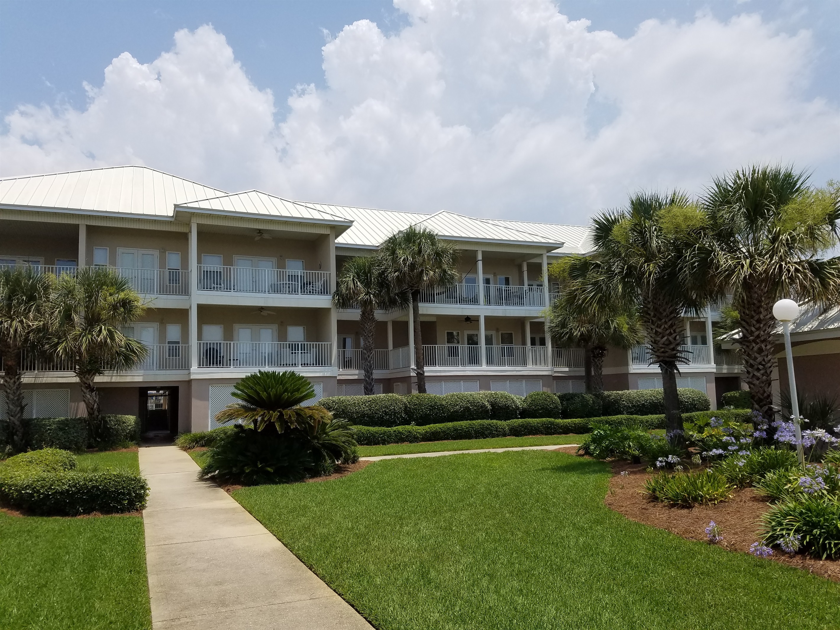 Pavillion Palms