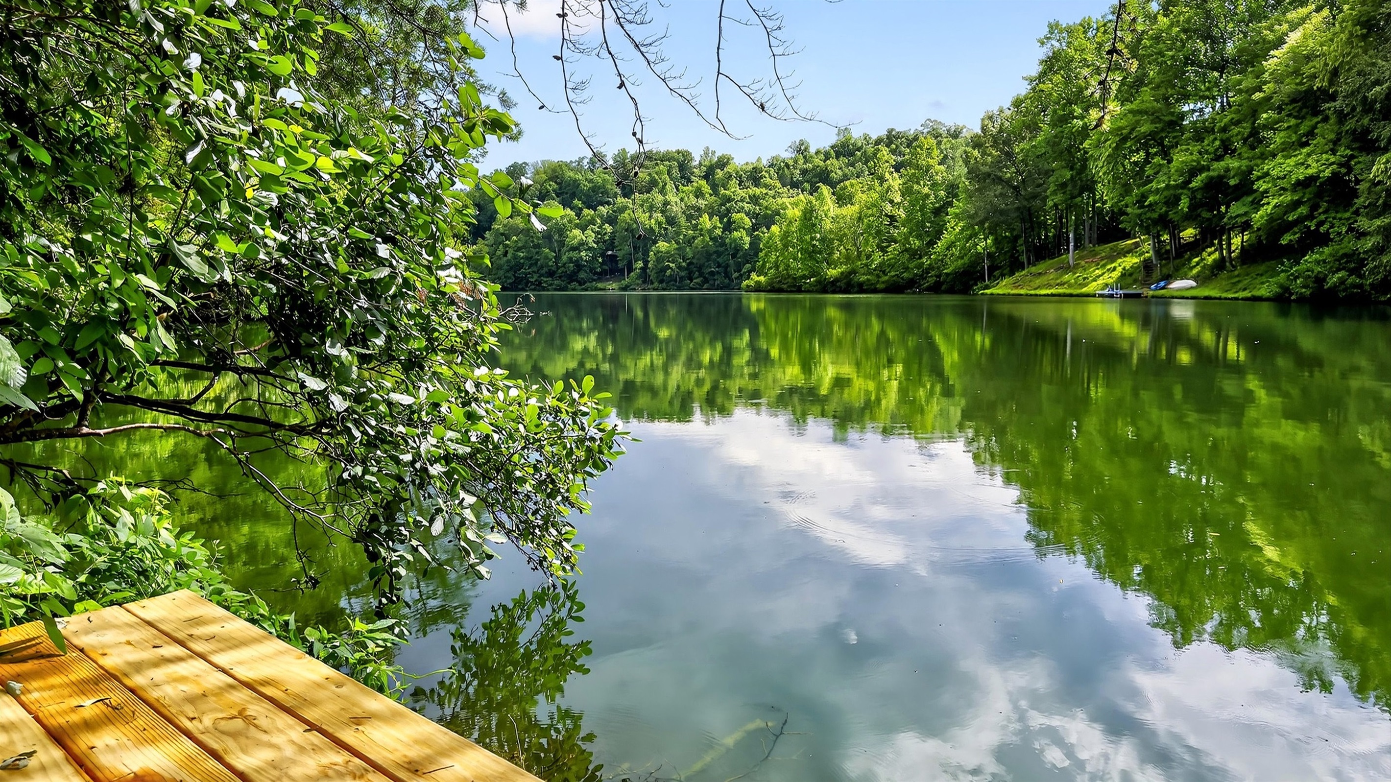 Mirror Lake