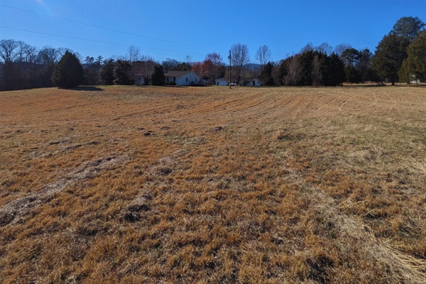 Spacious lawn for relaxing and enjoying the outdoors.