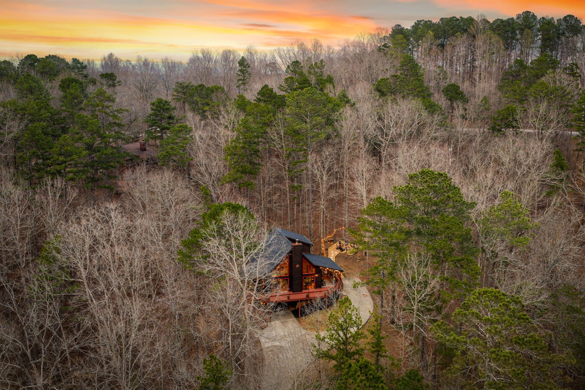 The elevated perspective showcases how beautifully the home is nestled within nature.