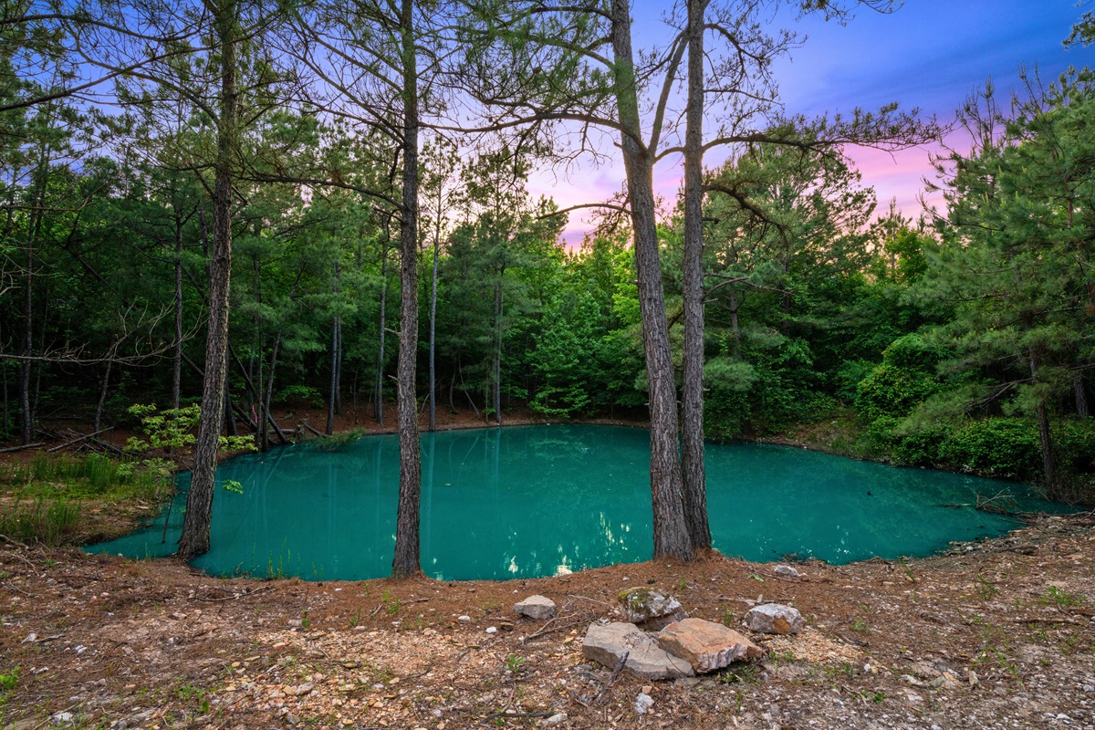 Surrounded by trees and tucked away from the crowds, the private pond feels peaceful, secluded, and perfect for long afternoons outdoors.