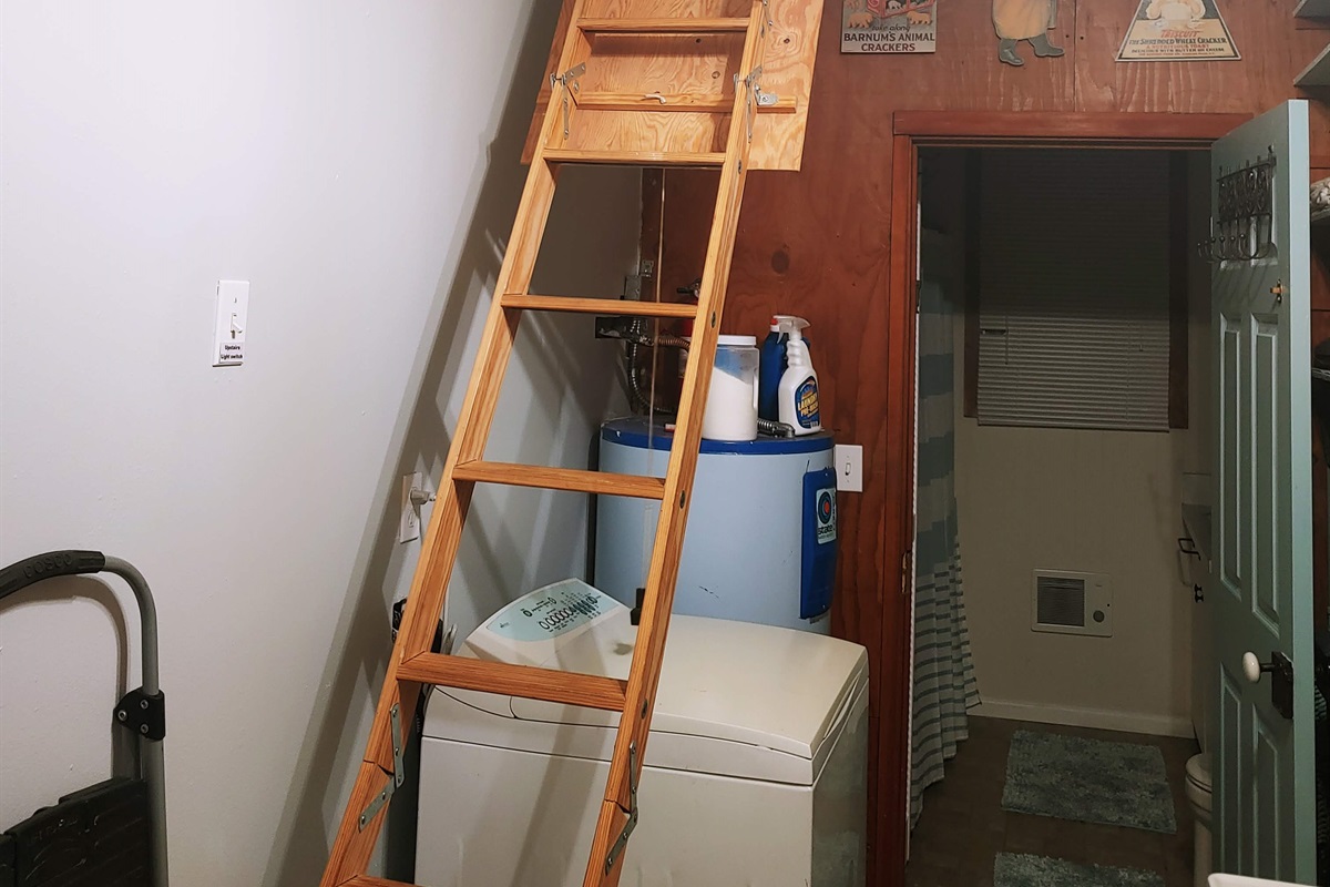 Hall ladder to 2nd bedroom