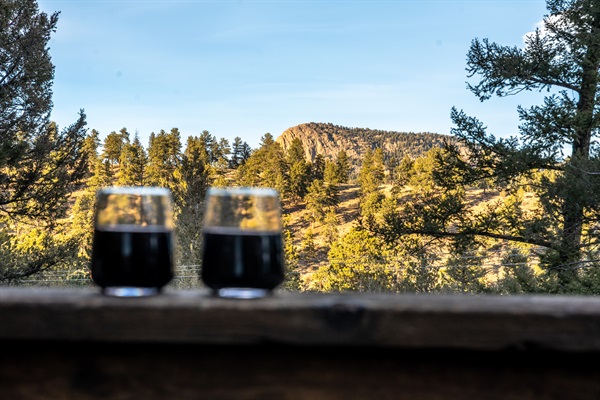 🥂🌄 Sip and savor the view—peaceful mountain scenery, pine-filled horizons, and the perfect perch for morning coffee or sunset wine 🌲✨