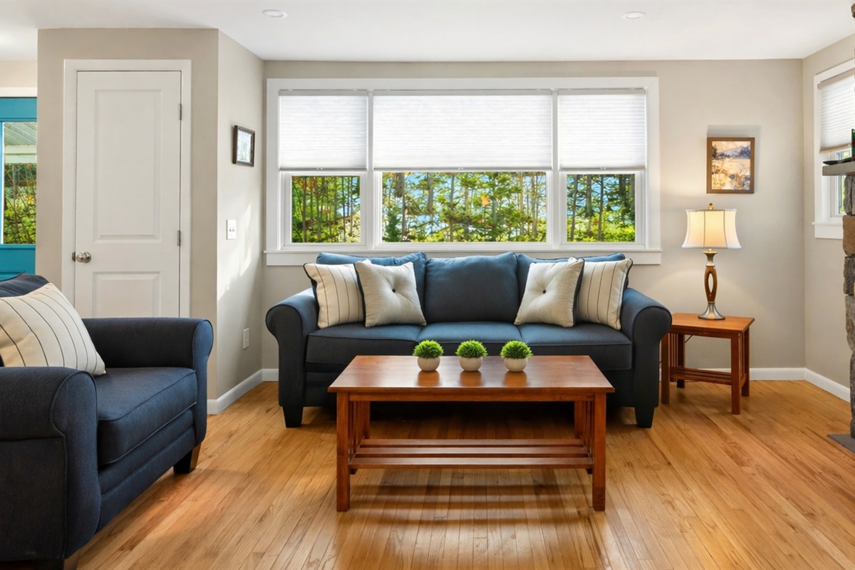 Cozy living room main floor