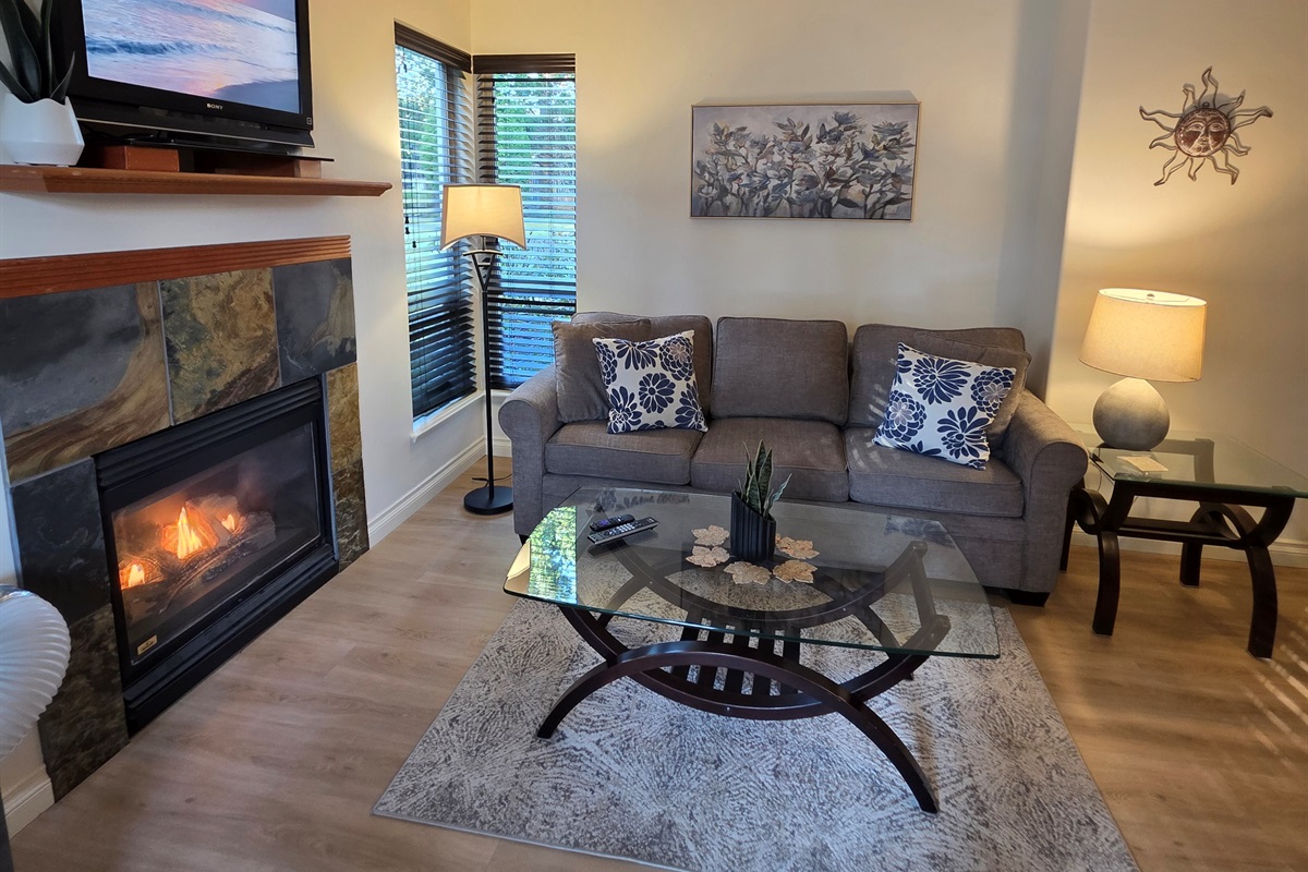 Main Floor. Streaming TV. Double glass doors. AC unit / natural gas fireplace. Covered Patio. Open concept. Roomy and spacious. Queen pull out sofa for extra Guests.