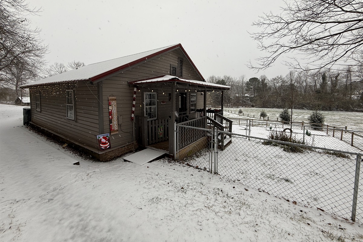 This was so much fun for the dogs and hoomans alike!