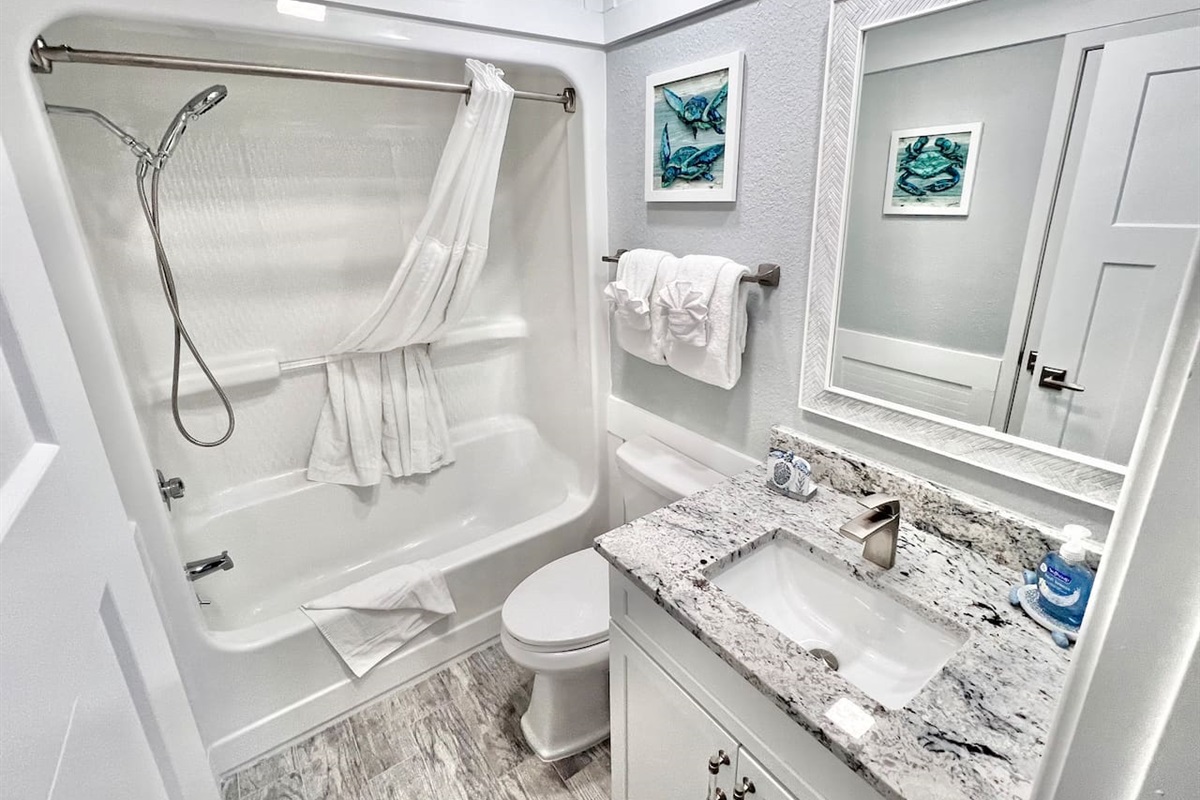 Guest Bathroom 