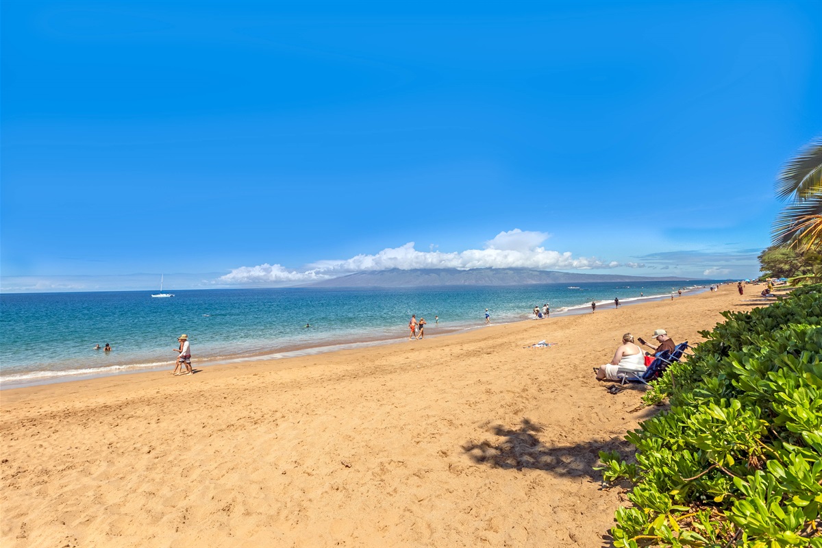 Long Stretch of Sandy Beach