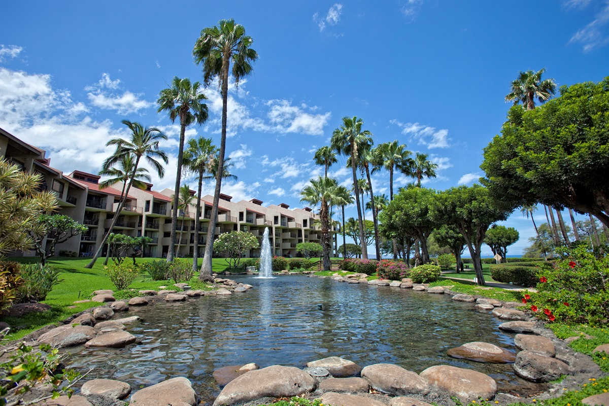 Relaxing fountain on the property