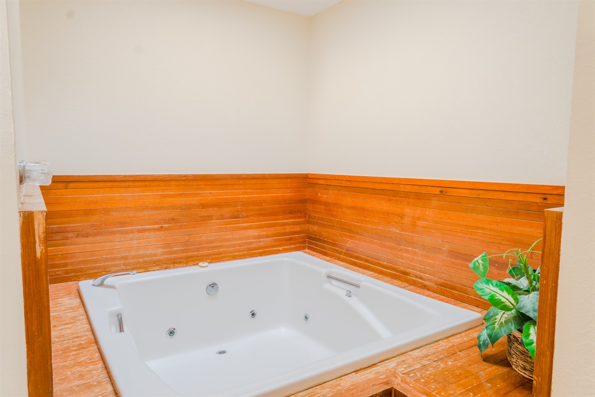 Jacuzzi in the Master Bedroom