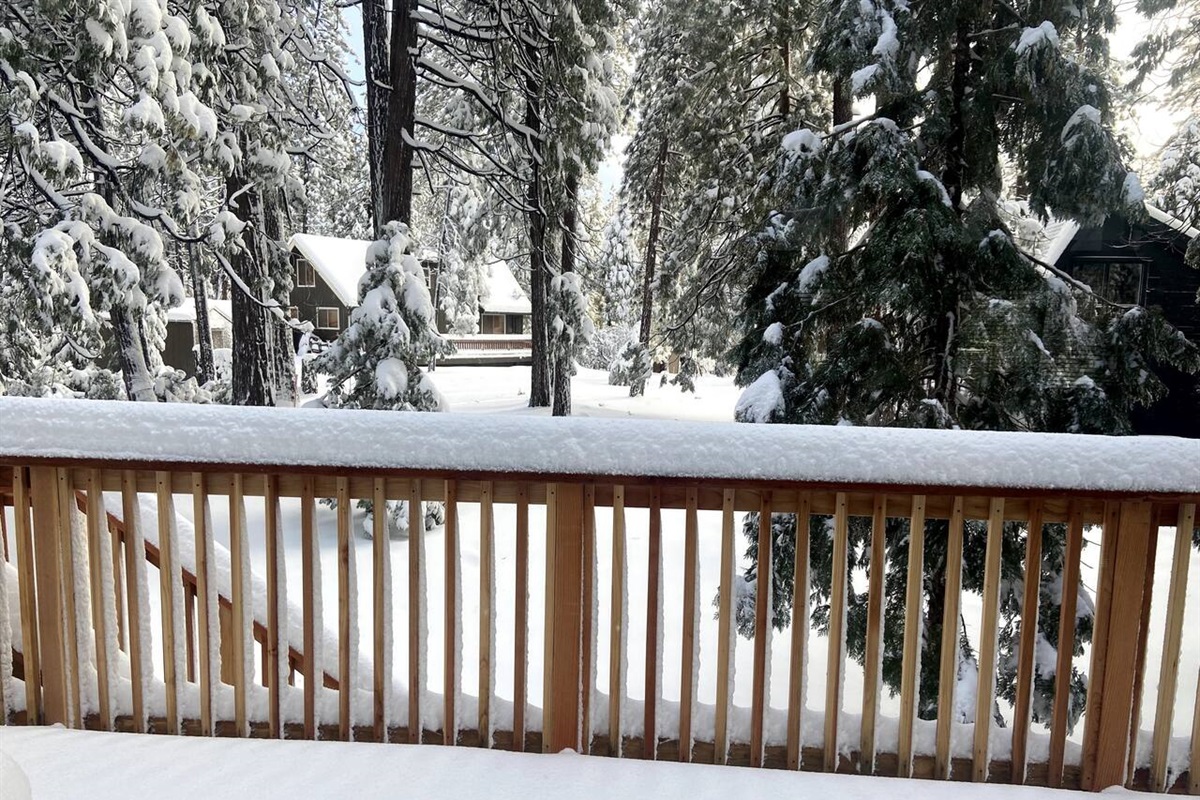 Backyard after snow 2022