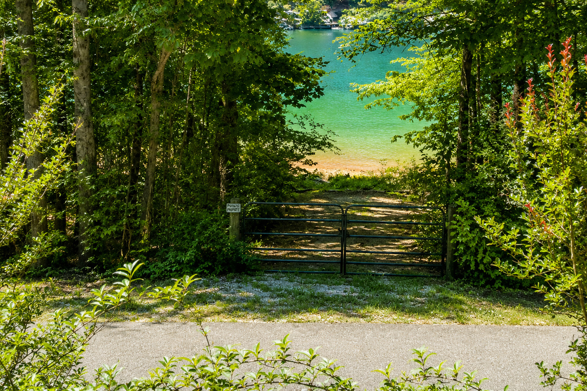 View of lake from house