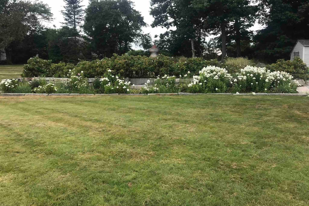 More of our attractive gardens