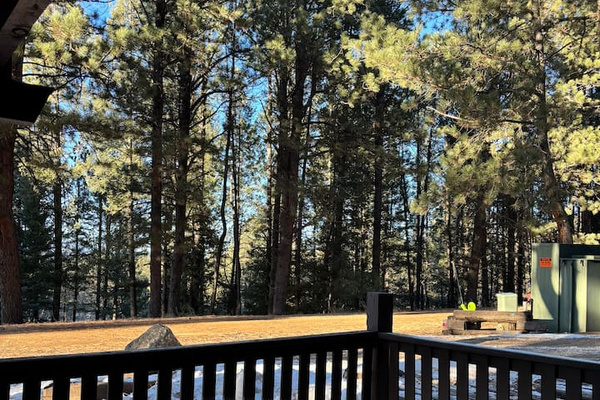 Large deck area with stunning pine tree views