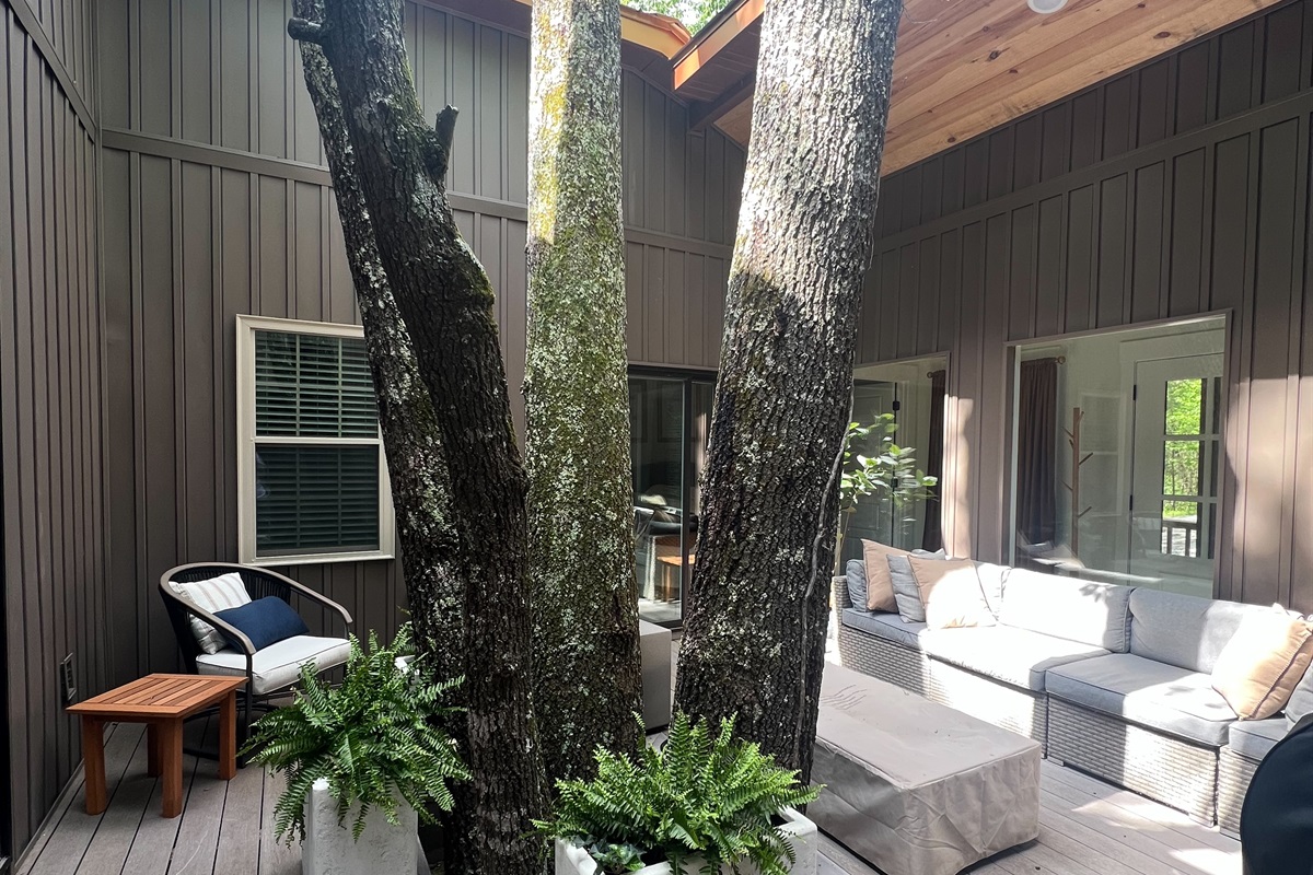 Four Oaks Tree Atrium