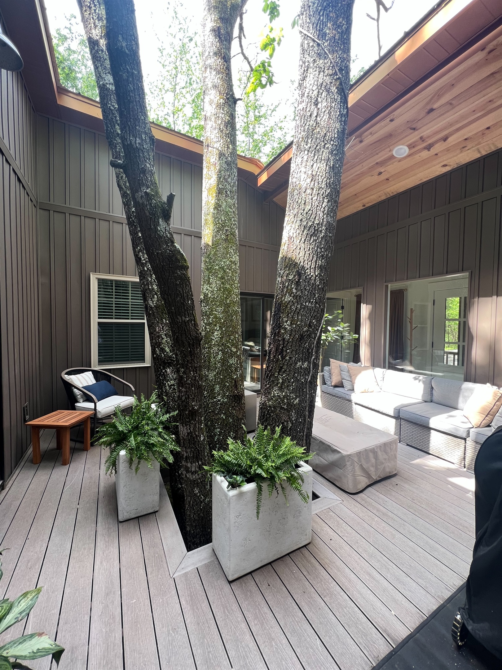 Four Oaks Tree Atrium