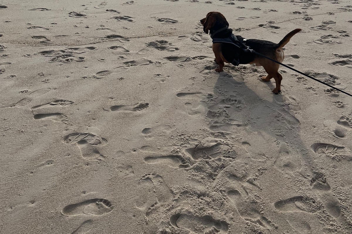 Joann B., Jul 5, 2025