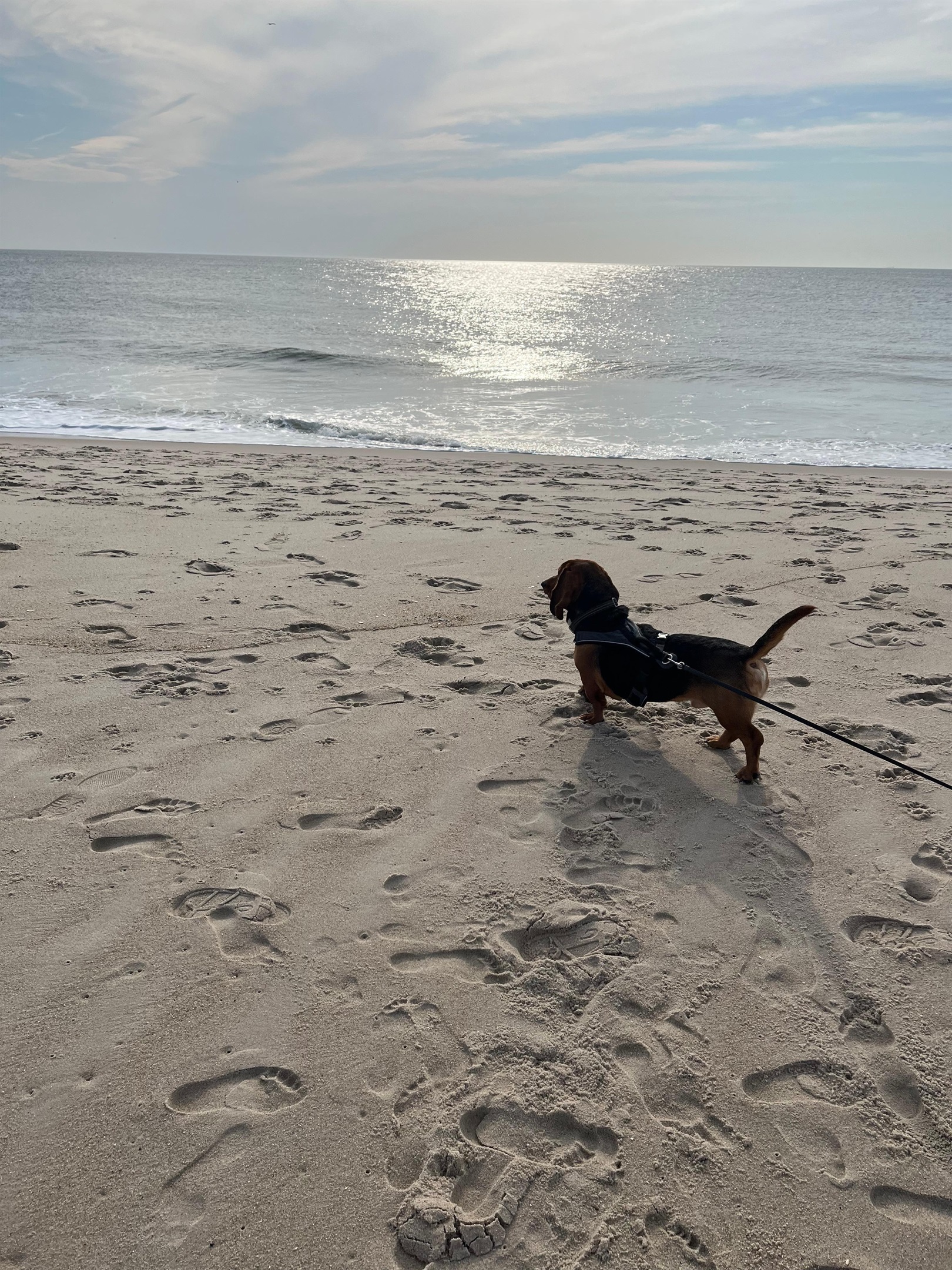 Joann B., Jul 5, 2025