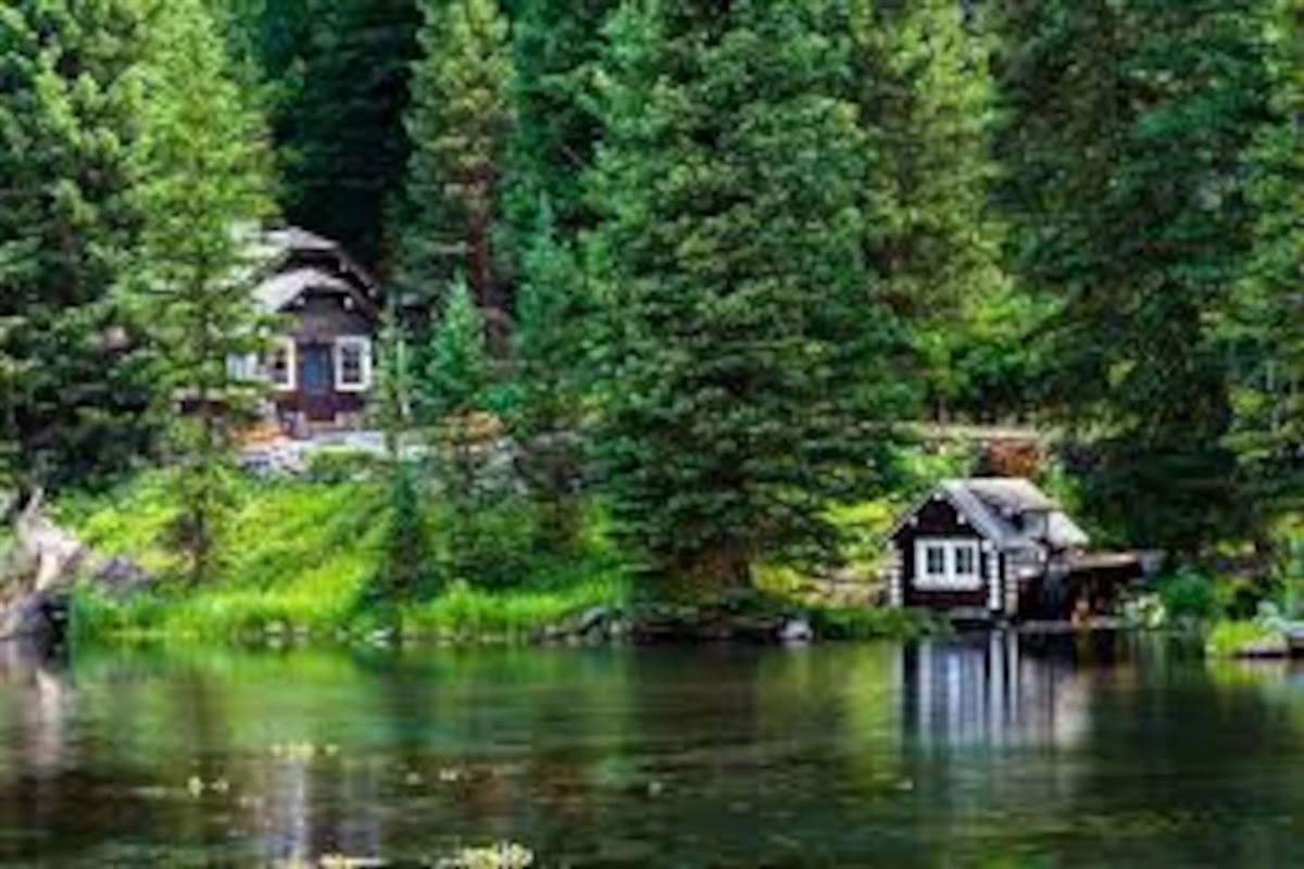 Johnny Sack Cabin Site