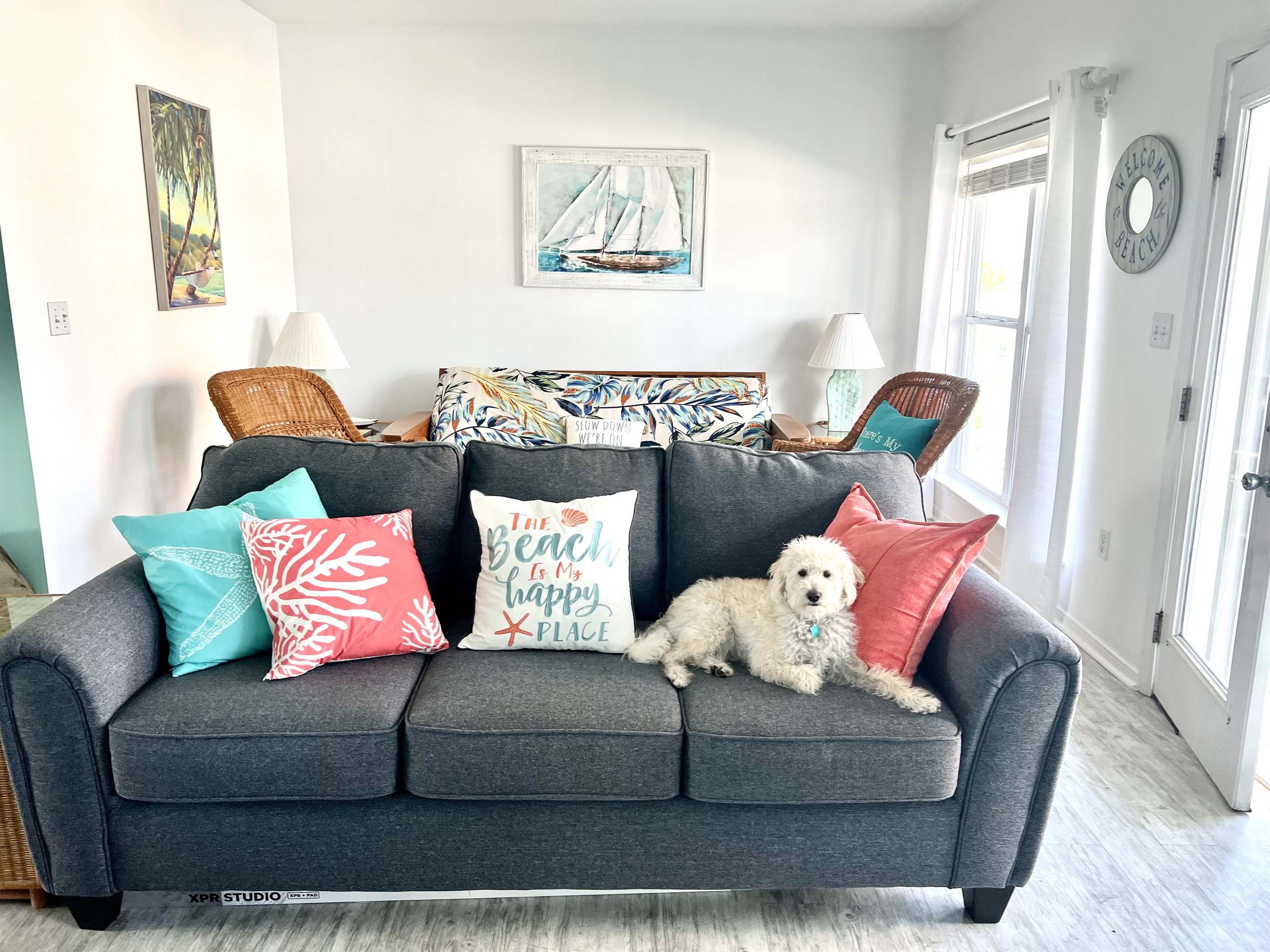 Our dog Toby loves it here too