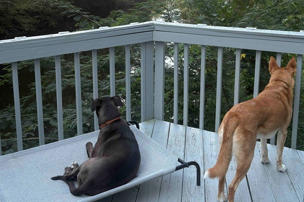 River Downstream on September 2025.