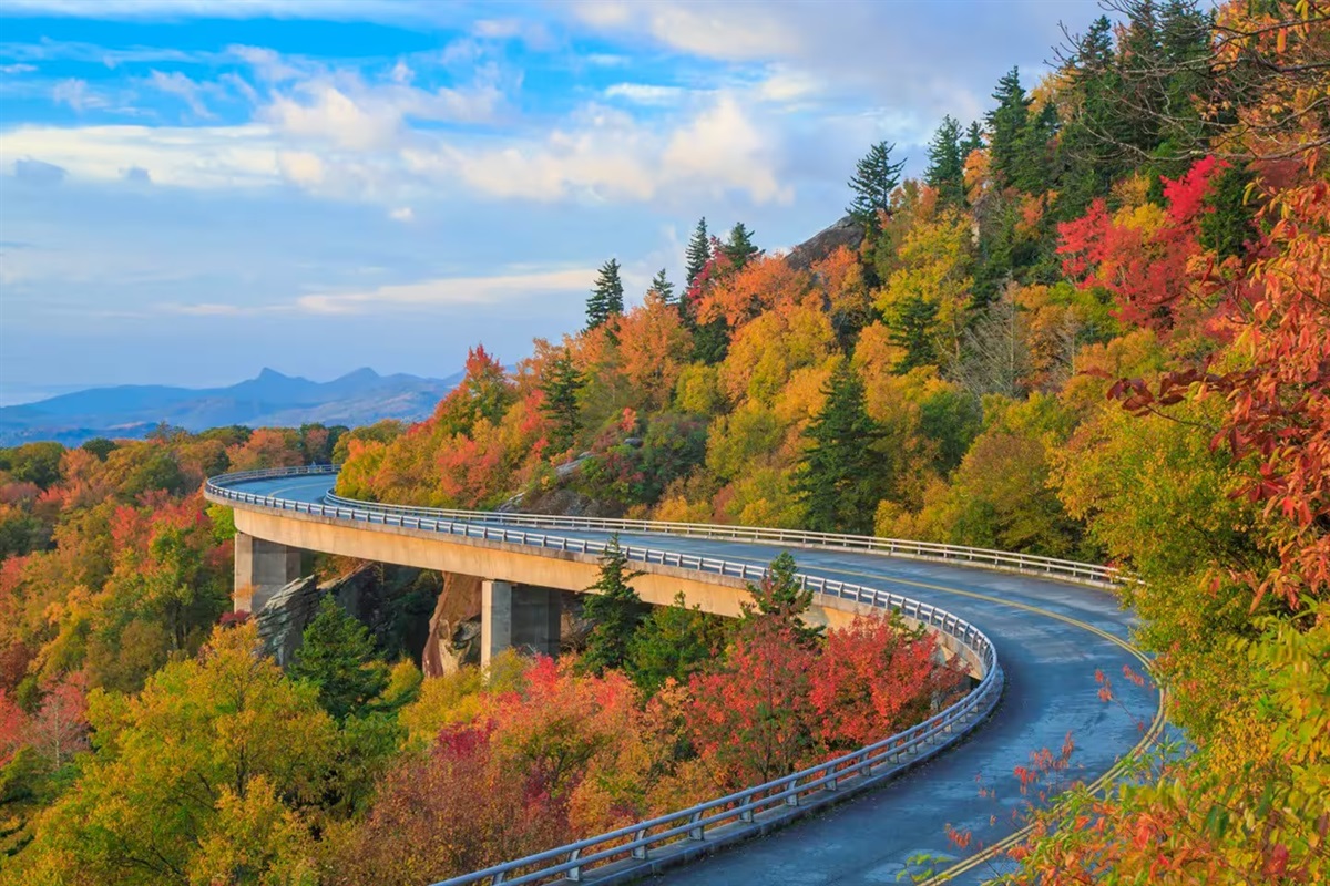 The Blue Ridge Parkway is one of America's Favorite Drives and one of the most visited attractions in the High Country! Hop on the entrance ramp 12 miles away to go visit the Linn Cove Viaduct