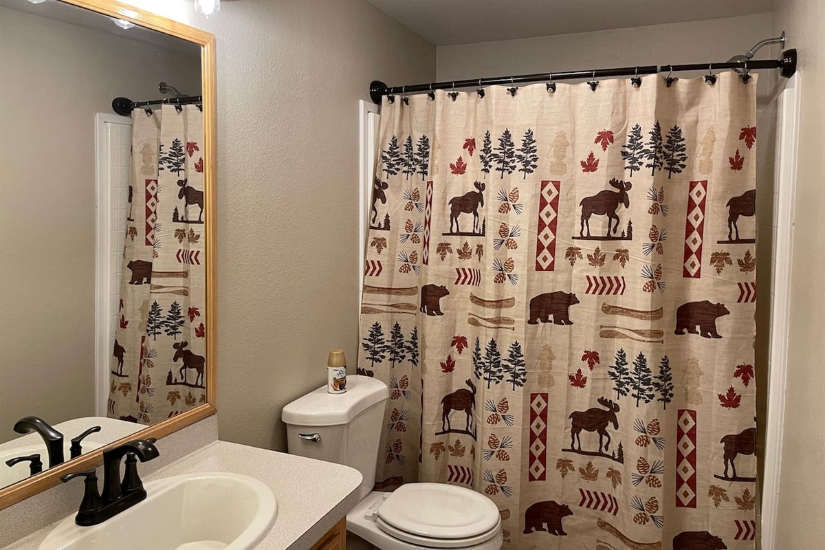 Main Guest Bathroom