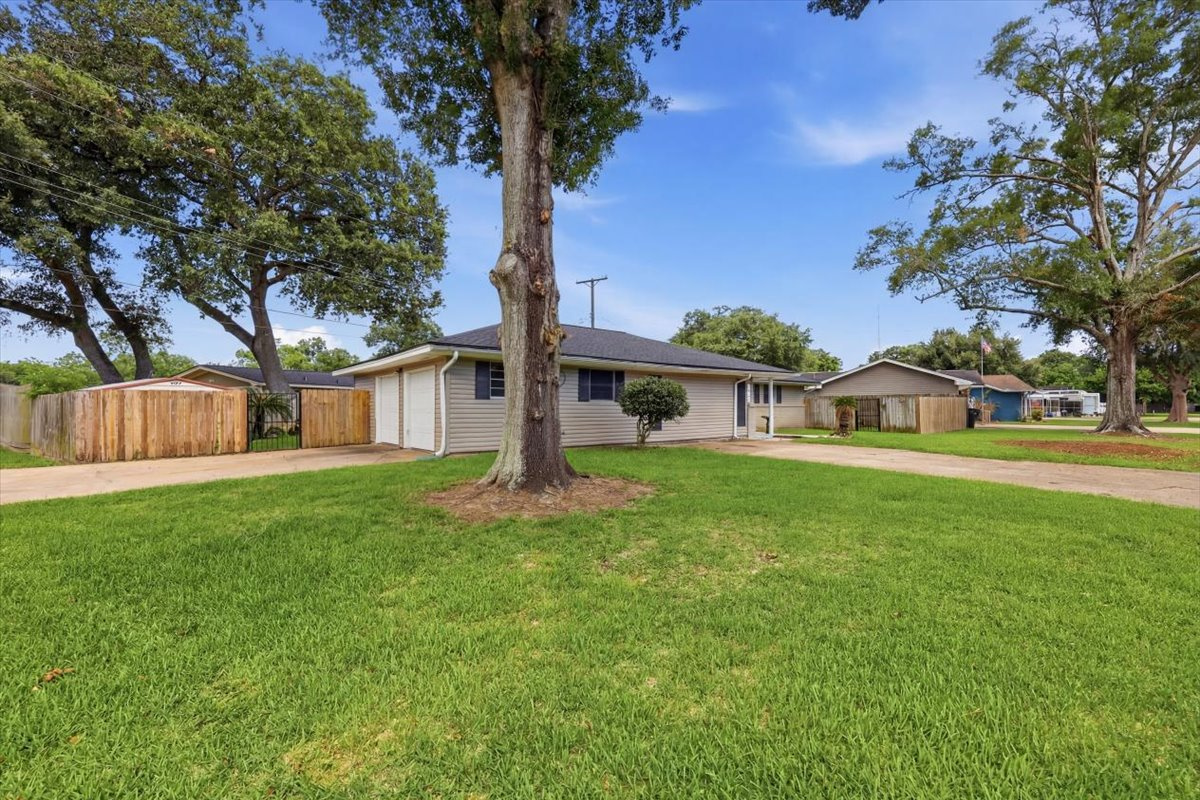 Front Yard