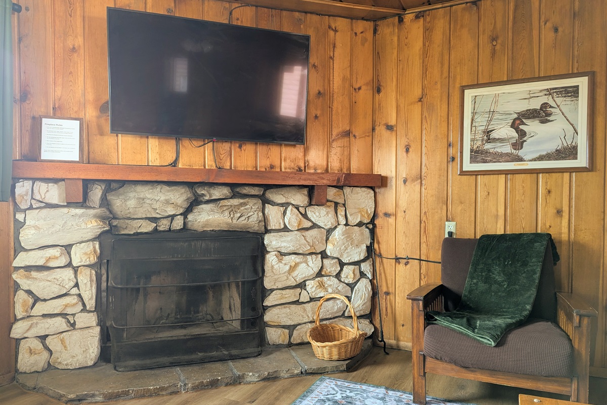 Wood Burning Fireplace with 55" Smart TV