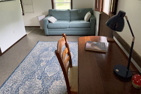 Sleeper sofa