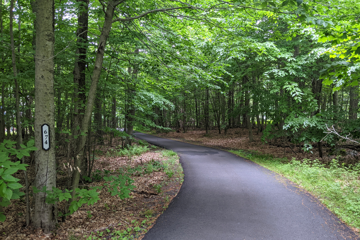 Private driveway leading to the house