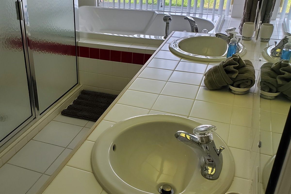 Master bedroom ensuite/full bath with sunk-in tub and walk in shower