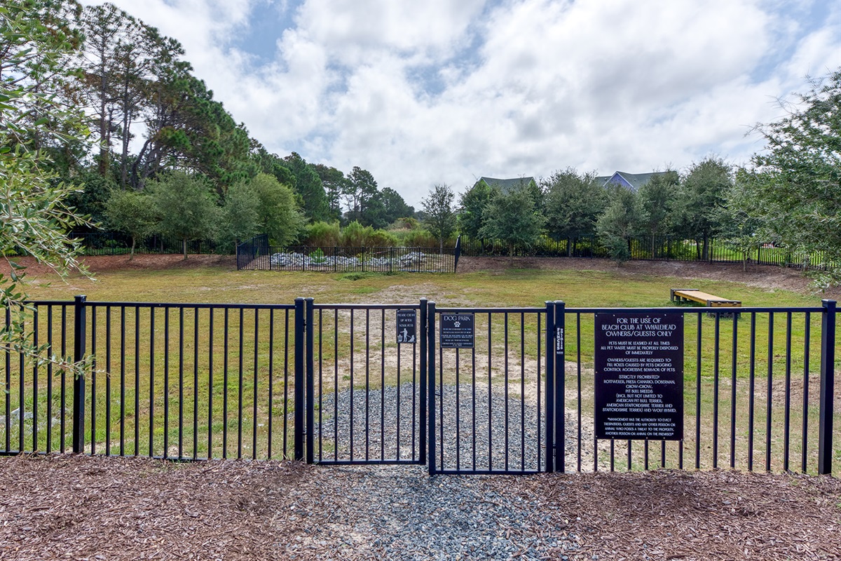 Dog Park
