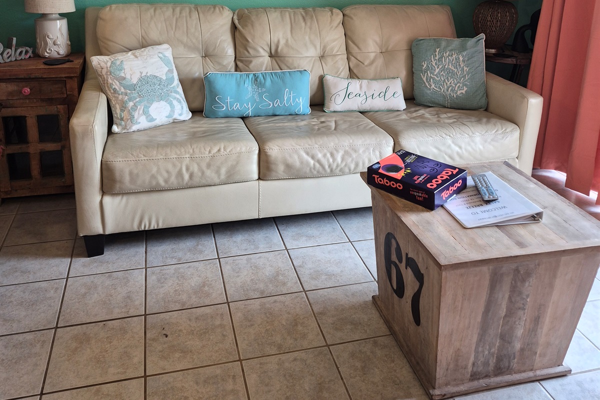 Comfy seating in living room - pulls out to queen bed for extra sleeping space