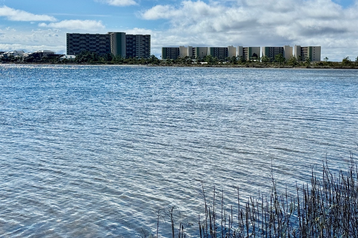 View of Pinnacle Port from Camp Helen State Park