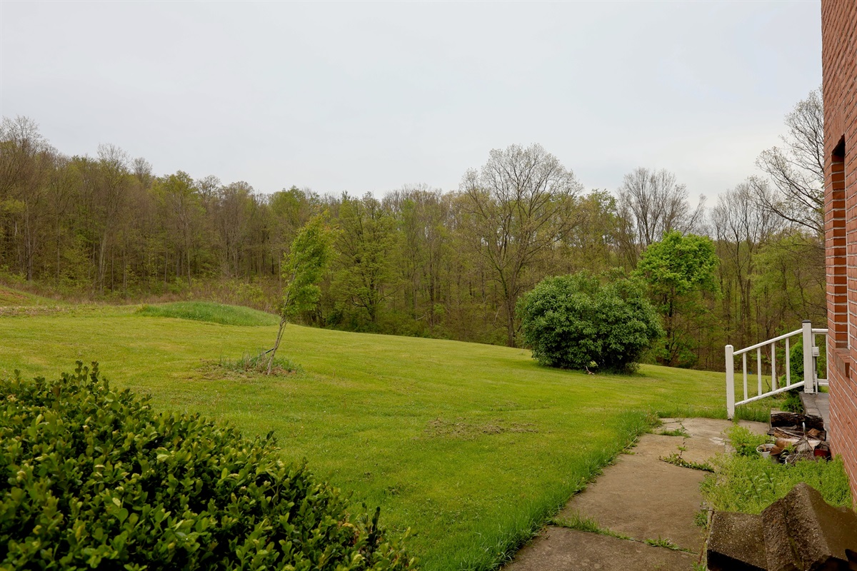 The view from the outdoor dining space