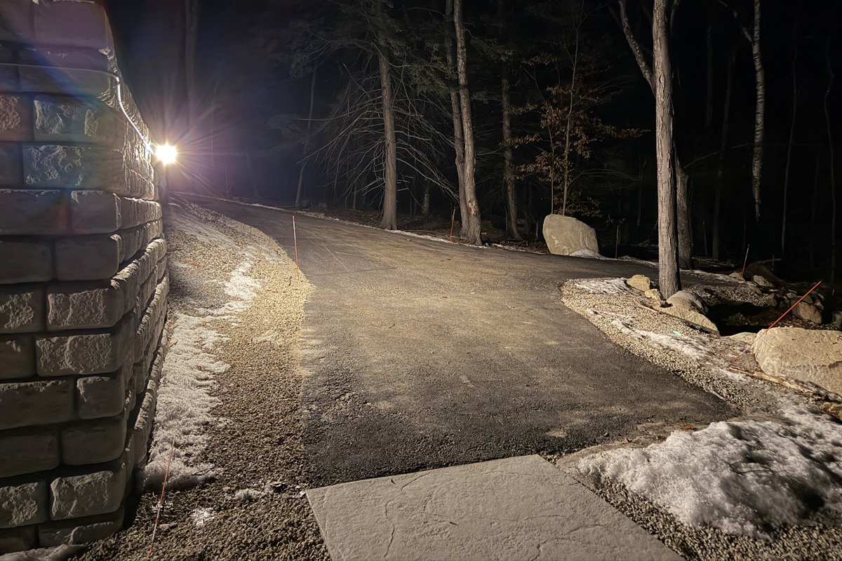 Driveway motion-activated flood light/camera