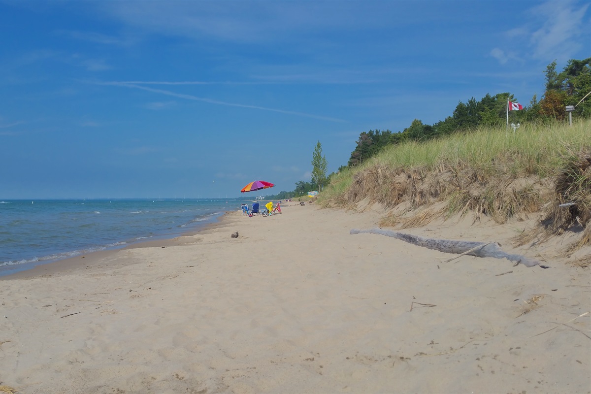 38142aab5808493d98d7070198fe2481 Large