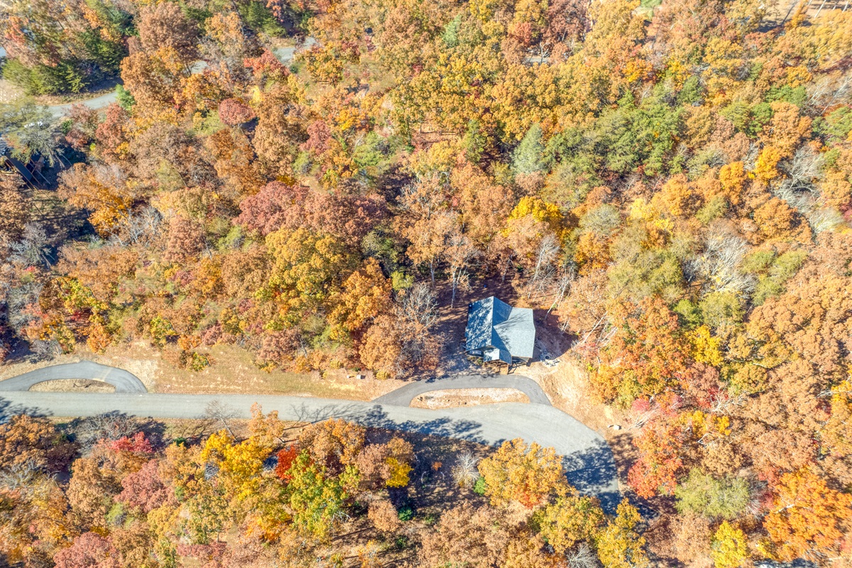 Aerial view of the cabin and driveway