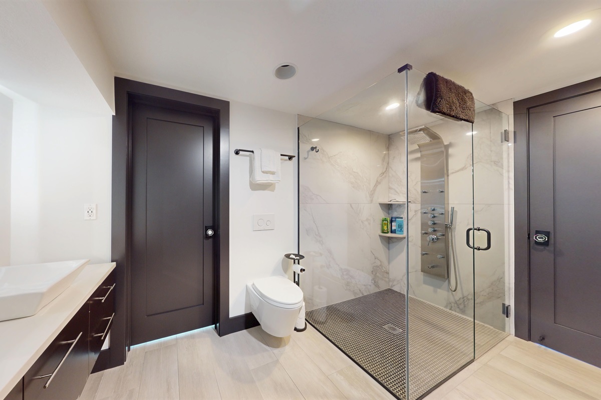 Modern bathroom amenities and large walk-in shower connects to the lower level Primary Bedroom, and into the lower level family room.