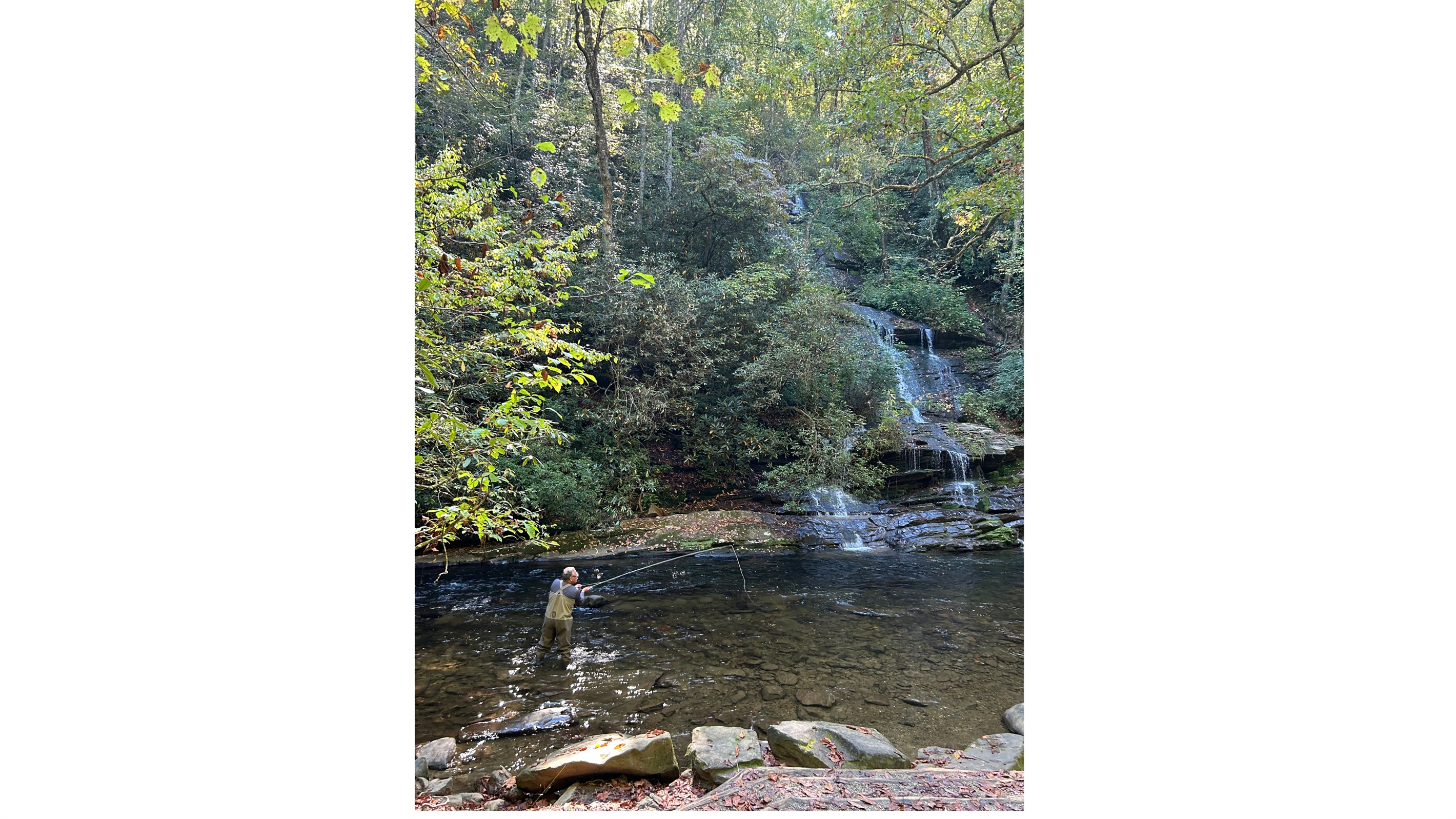 Tom Branch Falls in Deep Creek