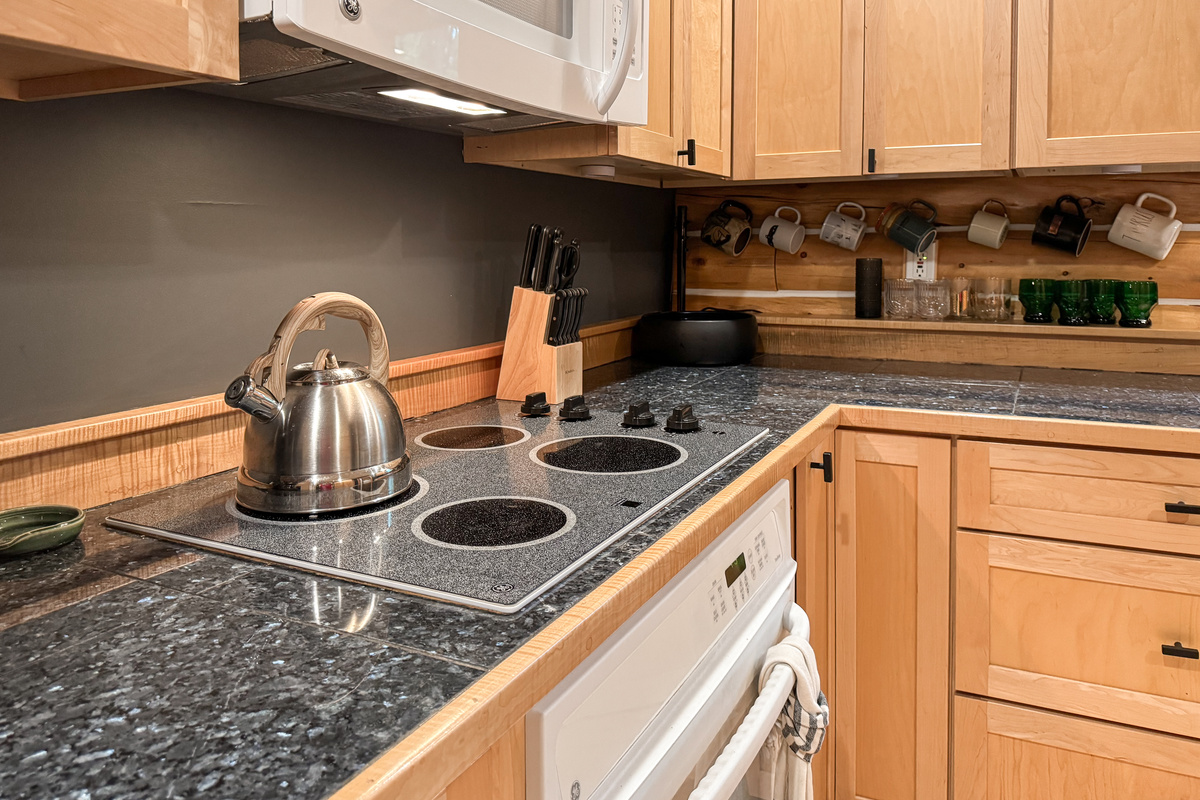 Electric Stove